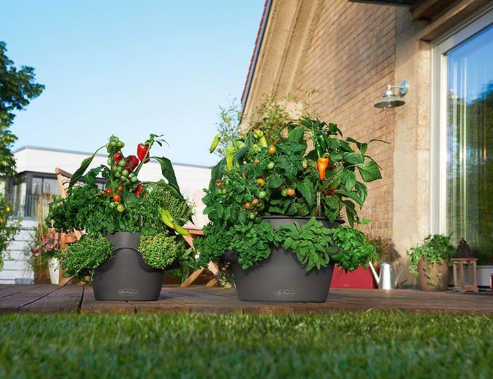 Produktbild Lechuza Cascada (44 cm)