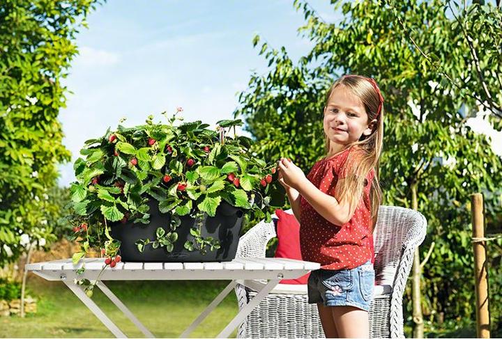 Produktbild Lechuza Cascada (44 cm)