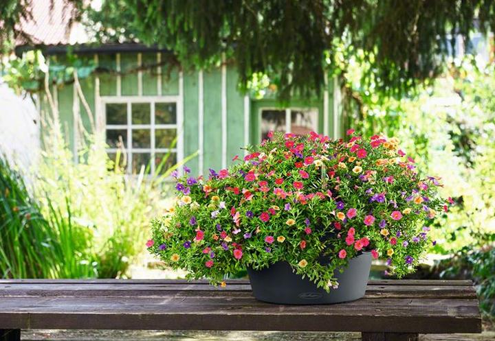 Produktbild Lechuza Cascada (44 cm)
