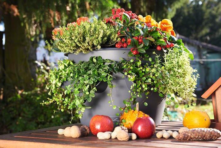 Produktbild Lechuza Cascada (44 cm)