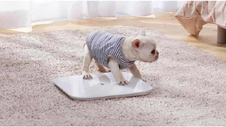 Image du produit Xiaomi Mi Smart Scale 2 (150 kg)