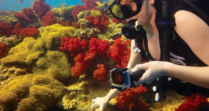 Produktbild GoPro Red Dive Filter für Standard- und Blackout-Gehäuse (GoPro Hero 3/3+/4)