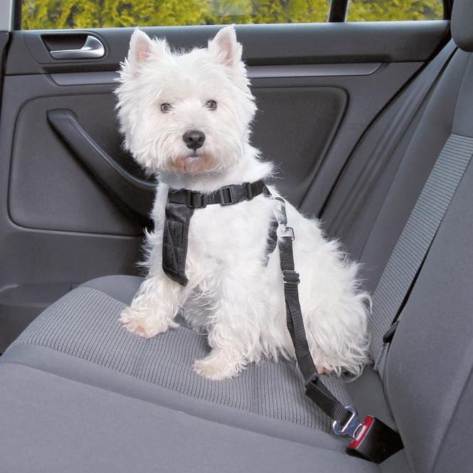 Image du produit Jolly Paw Jollypaw - Hundezubehör - Auto-Geschirr - Grösse S 30-60 cm - schwarz (Chien)