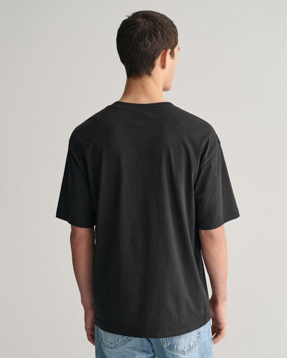 Immagine prodotto GANT t-shirt washed graphic (L)