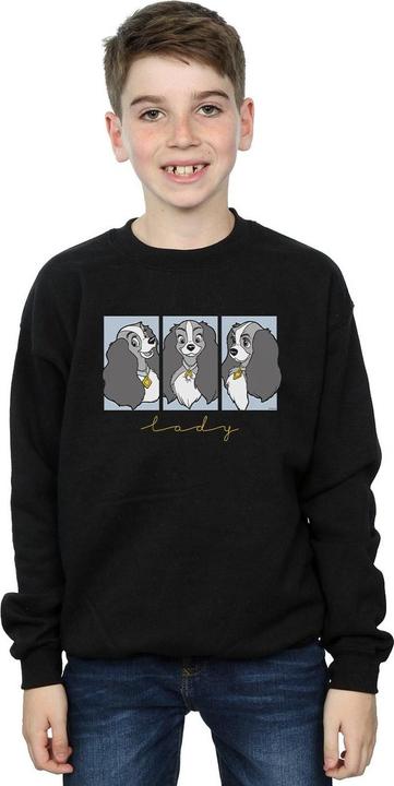 Immagine prodotto Disney Lady And The Tramp Lady Frames Felpa Ragazzi (152, 158)