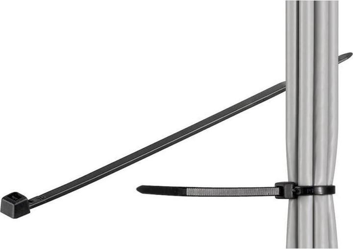 Techly 306509 Nylon cable ties 28 (280 mm, 100 Stk.)