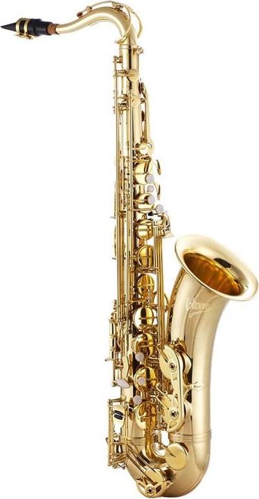 Actual product image No Name V-TONE TS 100 tenor saxophone with case set (Sax)