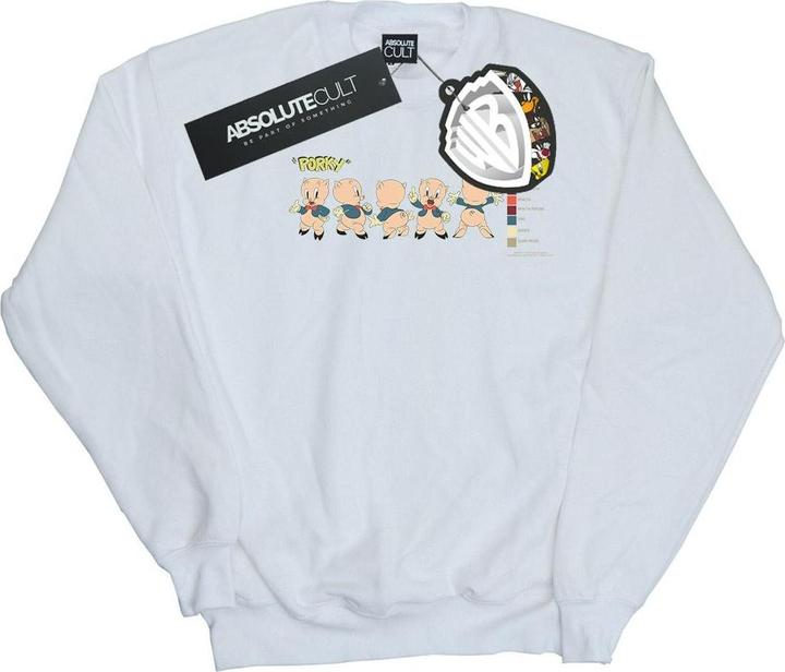 Looney Tunes Porky Pig Colour Code Sweatshirt