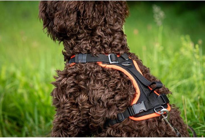 Immagine prodotto Grossenbacher Vasellame variegato XS Arancione (XS, Cane, Generale)