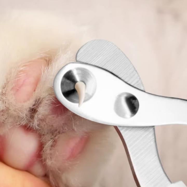Immagine prodotto Suba Krallenschere Katzen Schere für Anfänger toll geeignet (Gatto)