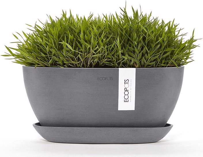Actual product image Ecopots Sofia (13 cm)