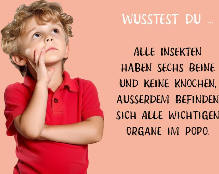Image du produit Die dicke Hummel Doris (Allemand, Uwe Krauser, 2024)
