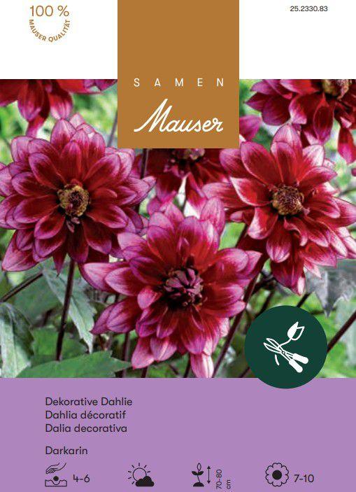 Actual product image Samen Mauser Decorative Dahlia Darkarin