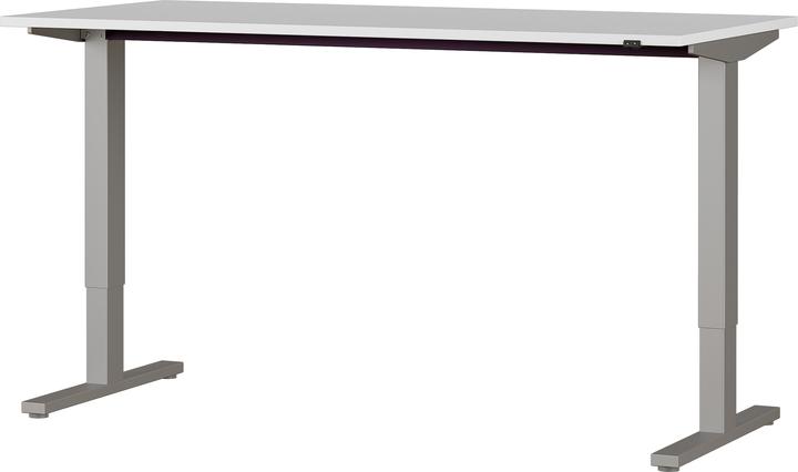 Germania Agenda (160 x 73 x 80 cm)