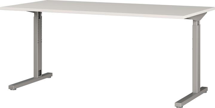 Germania Professionale 2.0 (160 x 80 x 80 cm)