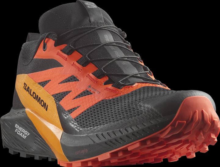 Produktbild Salomon Sense Ride 5 GTX Herren Trailrunningschuhe (43)