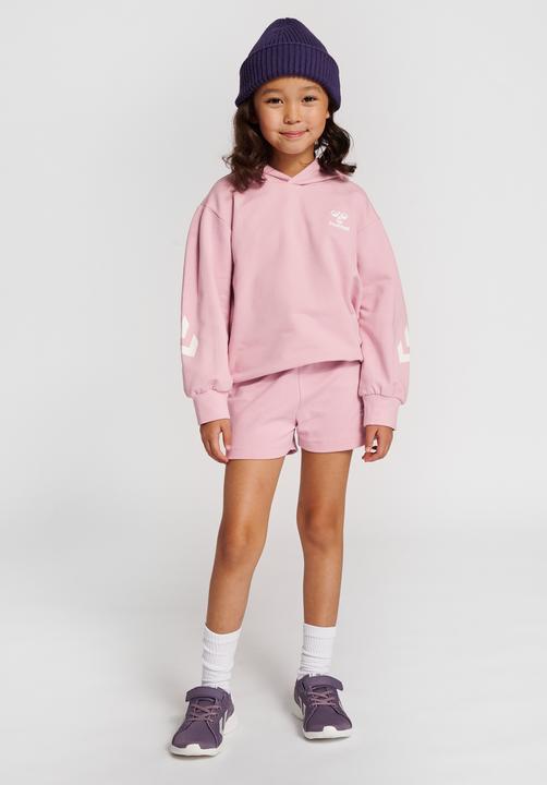 Image du produit hummel hmlDUE HOODIE (110)