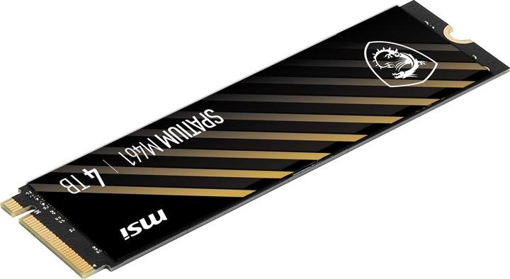 Actual product image MSI Spatium M461 (4000 GB, M.2 2280)
