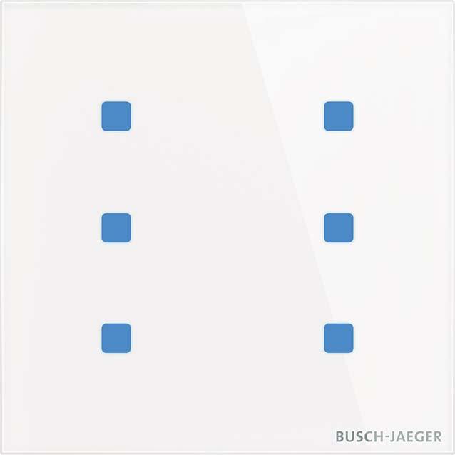 Busch-Jaeger BJ TB/U6.5.11-CG Touch-Bedienelement
