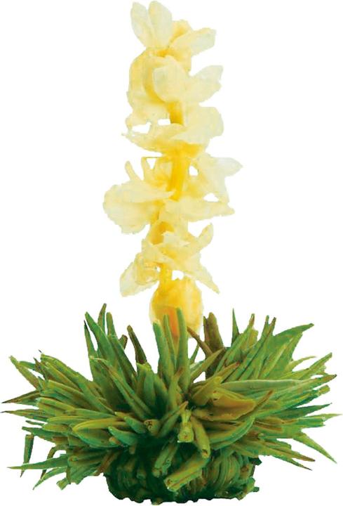 Image du produit Creano Le thé en fleur (0.50 l)