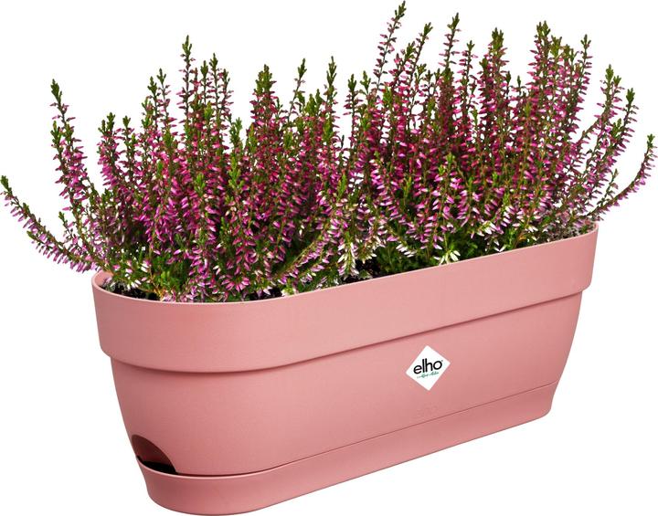 Produktbild Elho Vibia Campana (18.20 cm)