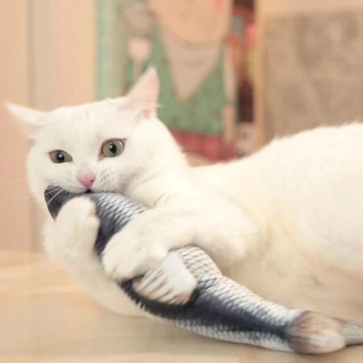 Image du produit PhoneLook Jouet en peluche pour chats Poisson dansant Jeu pour animaux de compagnie (Jouet en peluche chat)