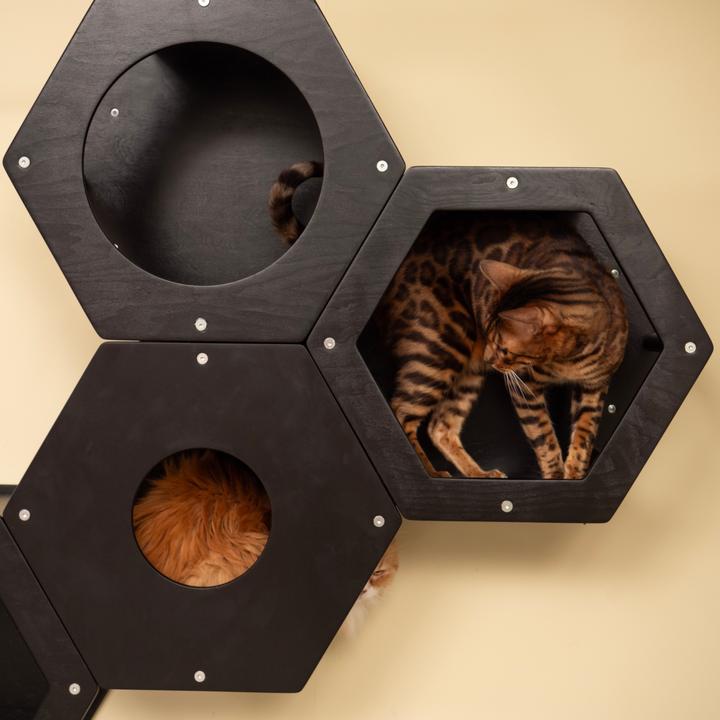Produktbild Wowhelperco Kletterwand für Katzen 8-teilig (Schwarz)