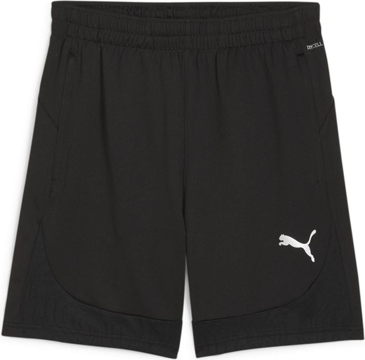 Puma teamFINAL Training Shorts