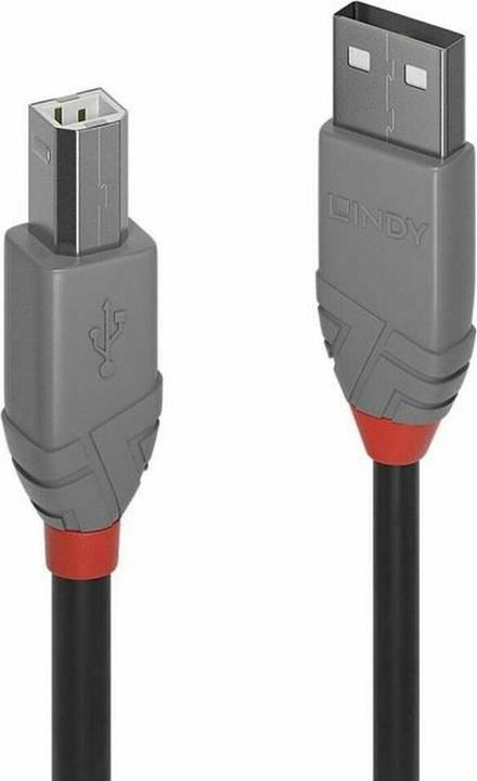 Actual product image Lindy USB A — USB B (3 m, USB 2.0)