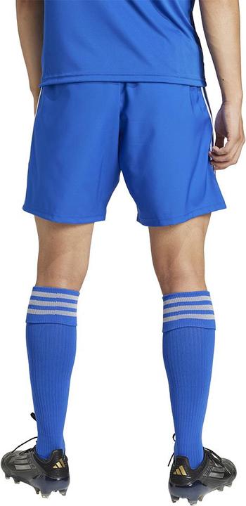 Actual product image adidas Tastigo25 Short (L)