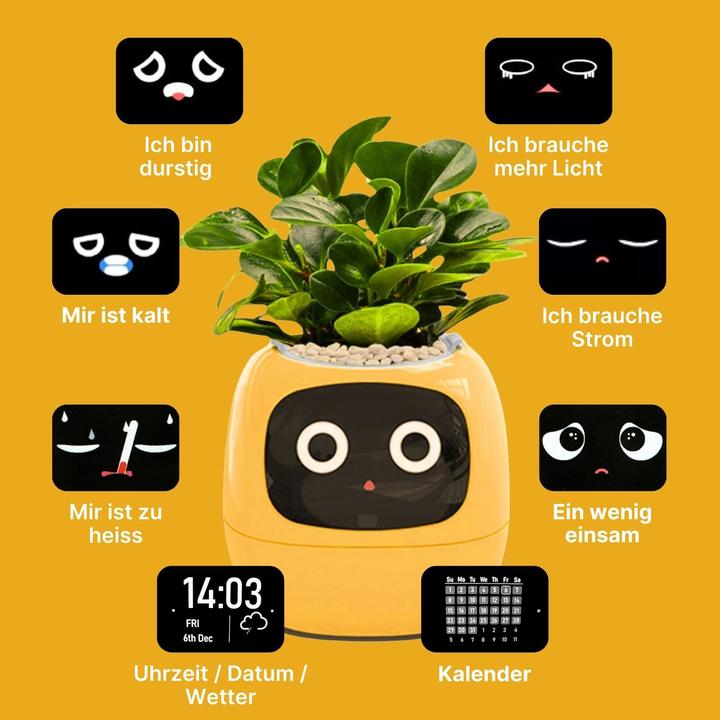 Actual product image Hermex Electronic flower pot Smart flower pot (11 cm)