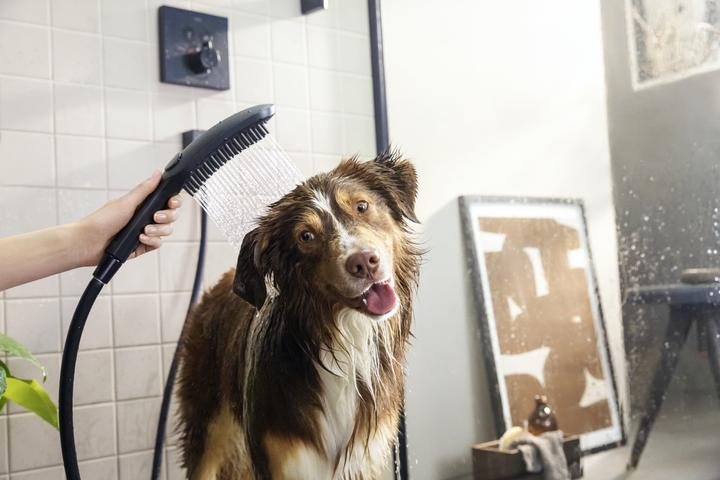 Productafbeelding hansgrohe DogShower hondendouche 150 (3 straalsoorten) (3 Typen balken, 7.60 l/min)