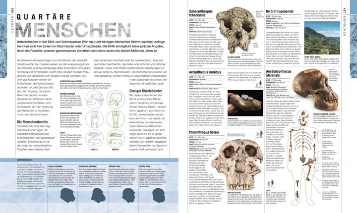 Immagine prodotto Dinosaurier und andere Lebewesen der Urzeit (Tedesco, Christopherua, Tommaso, Jennifer/Duffin, BarryA/Clack, 2020)