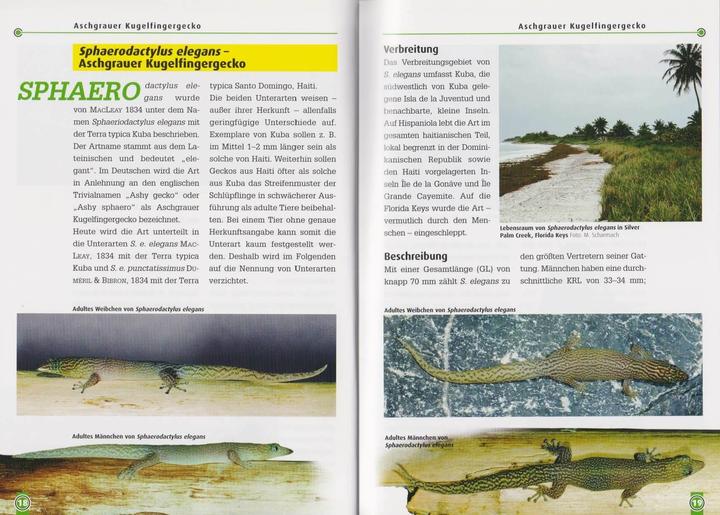 Actual product image Kugelfingergeckos (German, Beate Röll, 2006)