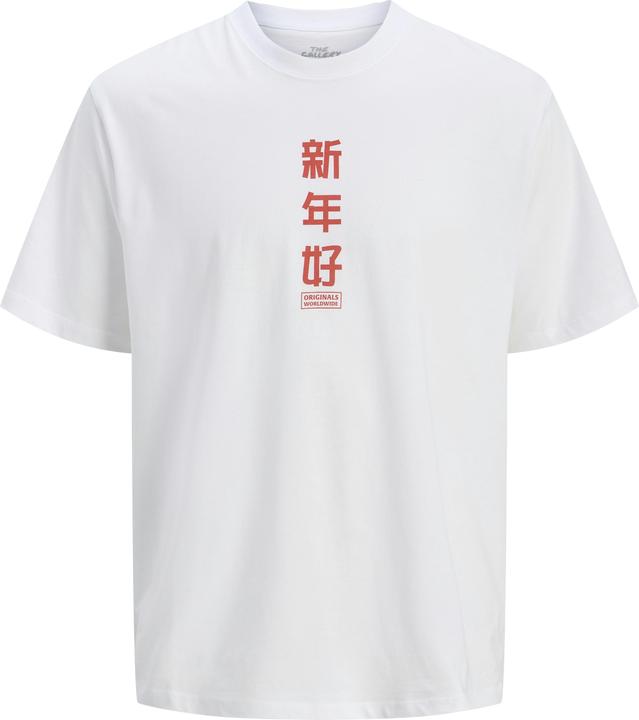 Actual product image Jack & Jones Jorsnake Tee Ss Crew Neck Tg Ln (XXL)
