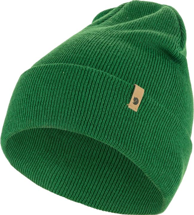 Palm Green