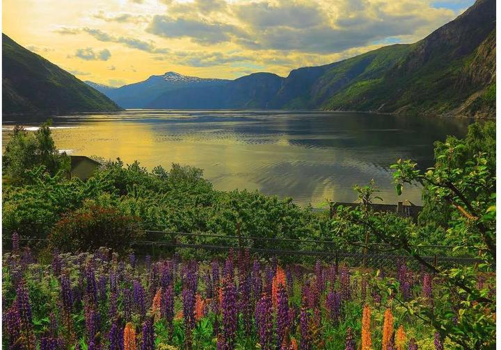 Produktbild Ravensburger Fjord in Norwegen (1000 Teile)