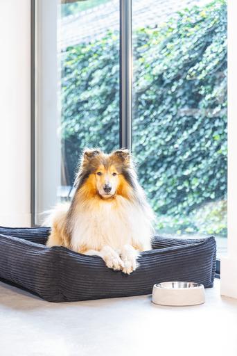 Image du produit Designed by Lotte Ribbed (Chien)