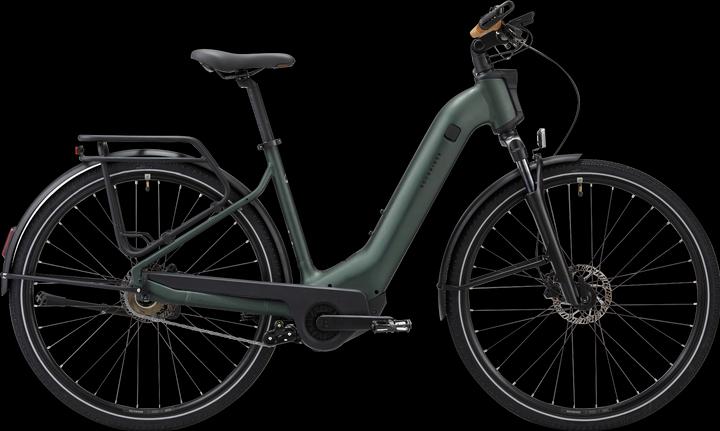 Immagine prodotto Rockrider E-bike trekking bike 28 pollici E-ACTV 900 trasmissione automatica ingresso basso - verde