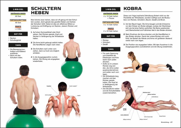 Image du produit Fit und stark in 10 Minuten (Allemand, Sean Adams, 2023)