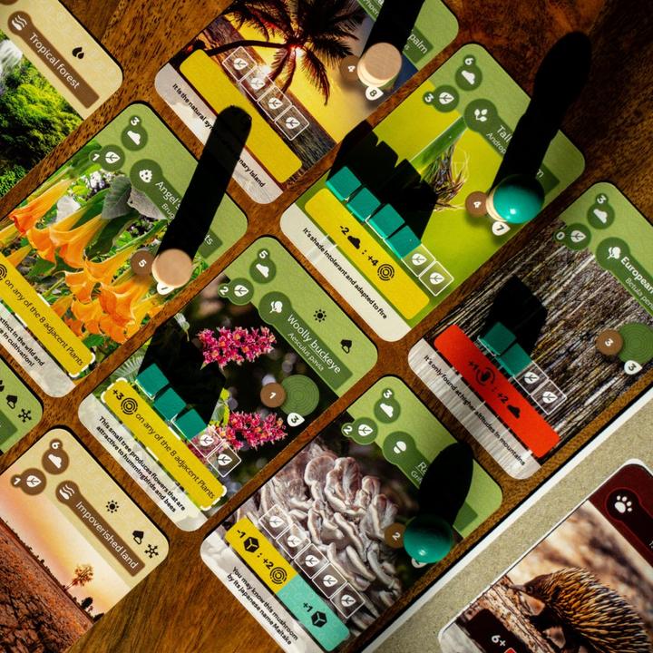 Image du produit Skellig Games Terre (Allemand)
