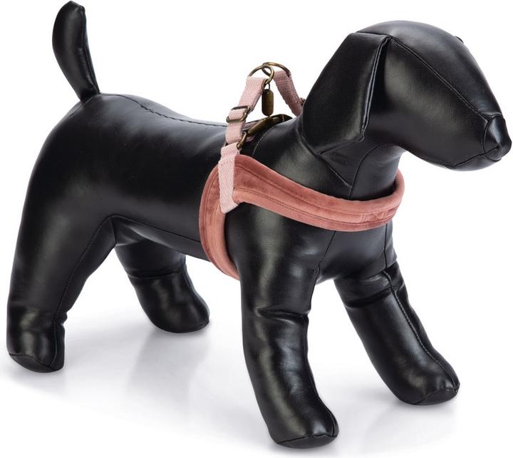 Productafbeelding Designed by Lotte Velura (XXS, XS, S, M, L, Hond, Loop)