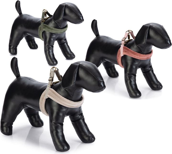 Productafbeelding Designed by Lotte Velura (XXS, XS, S, M, L, Hond, Loop)