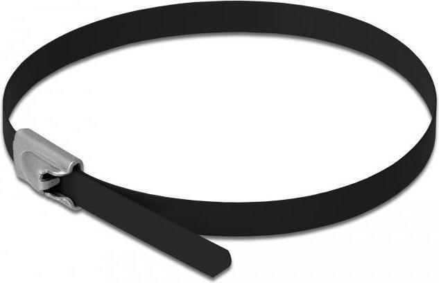 Delock Fascette in acciaio inox 200x4,6 10 pz. (Fascette in metallo, 200 mm, 10 pz.)