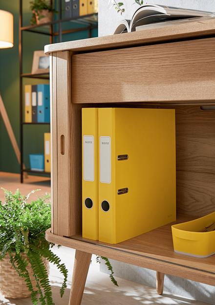 Productafbeelding Leitz Behaaglijk zachte aanraking (A4, 50 mm, 1 Stuk)