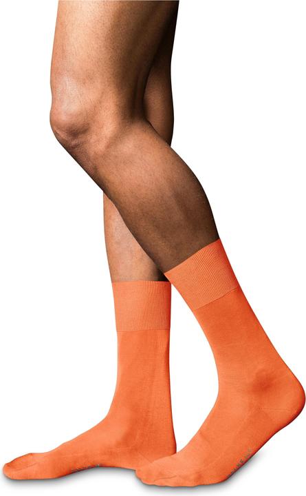 Image du produit Falke No. 9 SO (45 - 46)