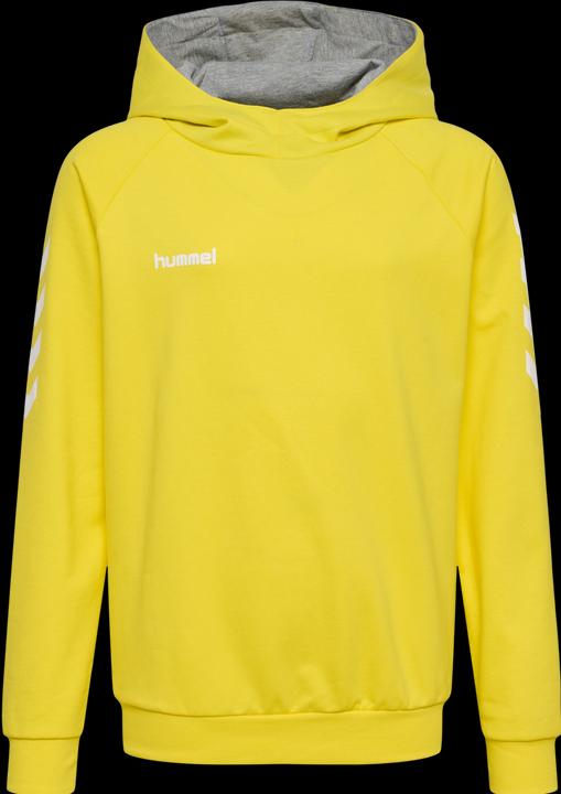 Image du produit hummel Go Kids Hoodie En Coton (164)