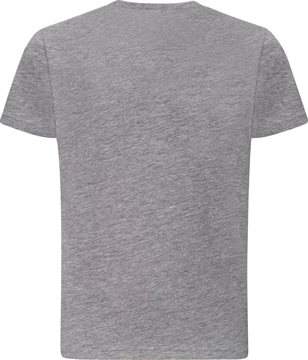 Actual product image Awdis Childrens/Kids Just Ts The 100 T-Shirt (XL)
