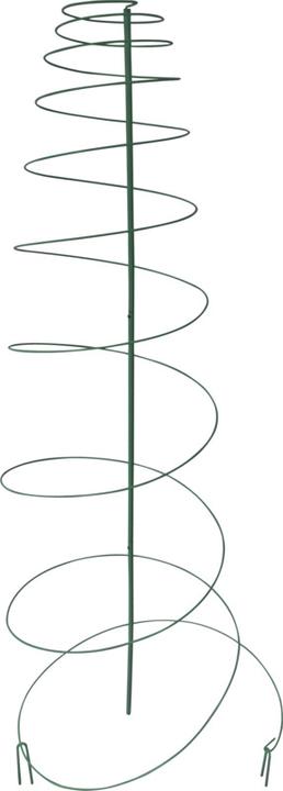 Immagine prodotto Windhager Spirale di rango in metallo (54 cm, 55 cm)