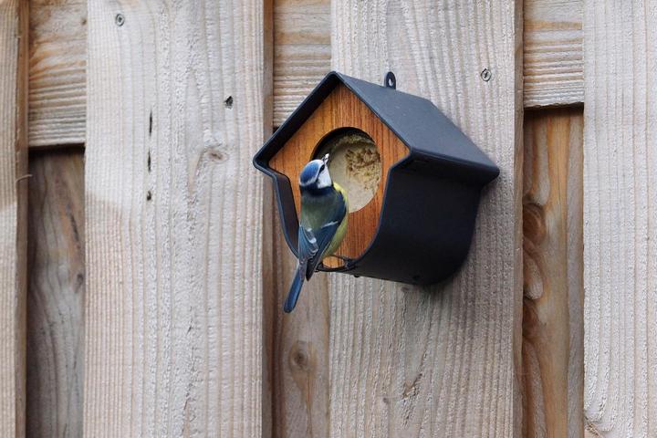 Image du produit SingingFriend Mangeoire pour oiseaux Evie